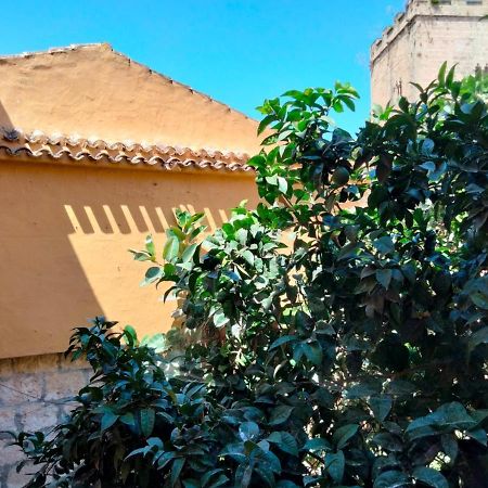 Estudio Castillo デニア エクステリア 写真